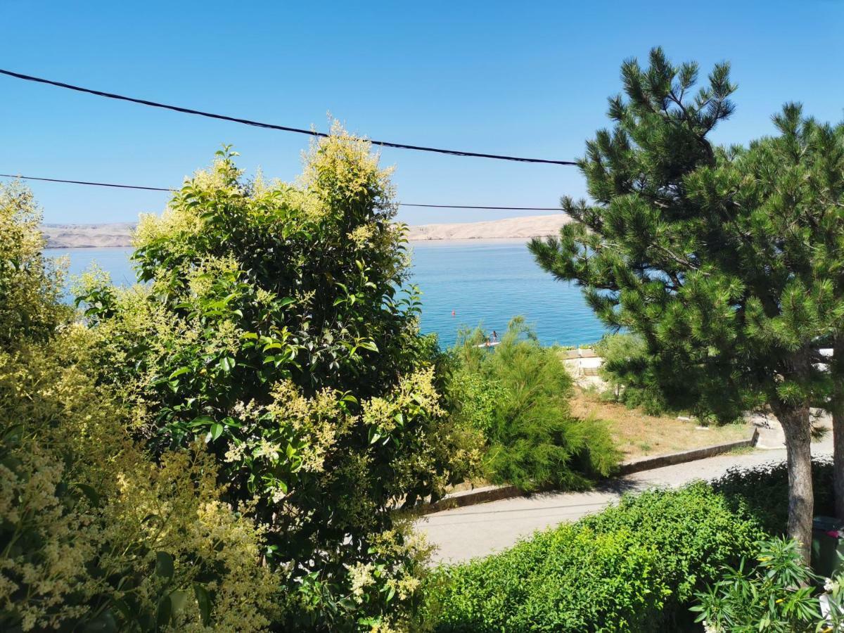 Beachfront House Ivana With Pool - Renovated 2025 Cesarica Bagian luar foto